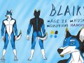 blaiky.jpg